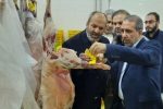 توزیع گوشت ارزان از امروز برای تنظیم قیمت بازار
