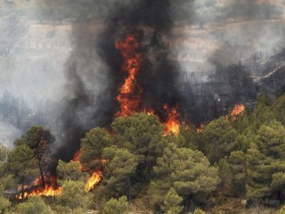 مهار آتش سوزی در جنگل‌های قره داغ