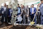 جزئیات اجرای طرح عظیم کاشت یک میلیارد درخت در آذربایجان شرقی