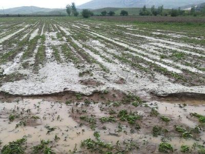 غرامت کشاورزان خسارت دیده آذربایجان‌شرقی تا ۱۰ روز آینده پرداخت می‌شود