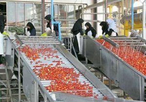 ظرفیت صنایع تبدیلی کشاورزی آذربایجان‌شرقی افزایش یافت
