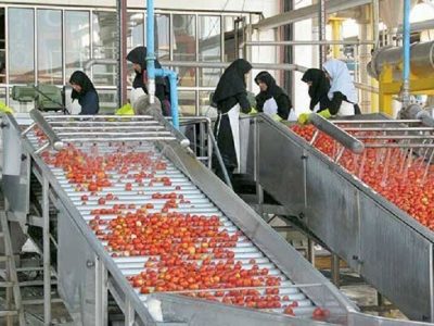 ظرفیت صنایع تبدیلی کشاورزی آذربایجان‌شرقی افزایش یافت