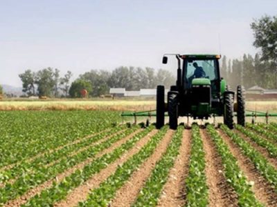 سهم ۱۸ درصدی بخش کشاورزی در اشتغال آذربایجان‌شرقی