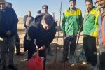 کاشت ۲۱ میلیون اصله نهال در آذربایجان شرقی آغاز شد