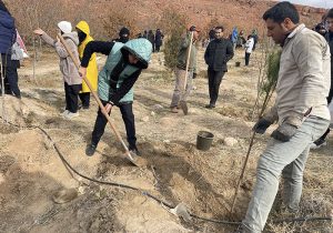 کاشت نهال در پارک پیوند تبریز به یاد شهدای غزه