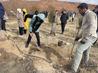 کاشت نهال در پارک پیوند تبریز به یاد شهدای غزه