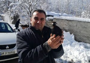 یک قطعه دراج سیاه در ارسباران رهاسازی شد