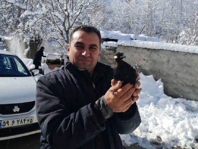 یک قطعه دراج سیاه در ارسباران رهاسازی شد