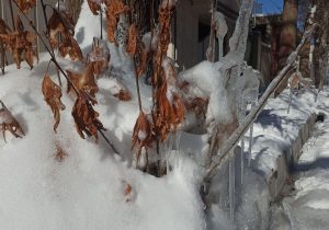 یخبندان و برف در راه آذربایجان شرقی