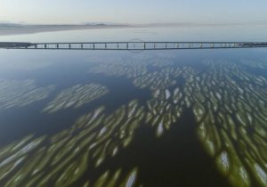 وجود چشمه های جوشان در دریاچه ارومیه طبیعی است