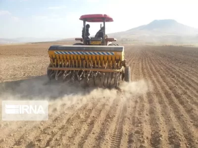 تحقق ۷۶ درصد از تعهدات کشت قراردادی تعاون روستایی آذربایجان شرقی