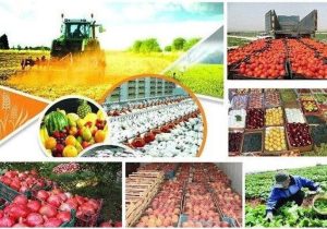 رشد ۲۳ درصدی صادرات محصولات غذایی و کشاورزی + ۲۰ مقصد نخست
