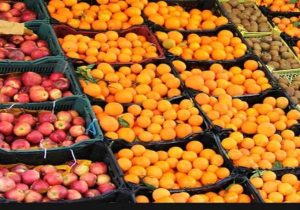 اعلام قیمت مصوب میوه نوروزی و آغاز توزیع سیب و پرتقال از هفته آینده در آذربایجان شرقی