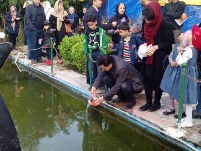 ورود ماهی قرمز به آب‌های آزاد آذربایجان شرقی ممنوع است