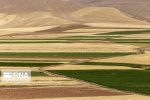 ۳۹۵ هکتار اراضی کشاورزی در آذربایجان شرقی واگذار شد