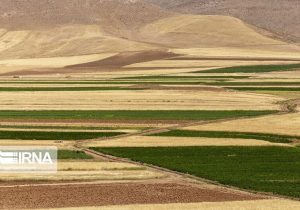 ۳۹۵ هکتار اراضی کشاورزی در آذربایجان شرقی واگذار شد