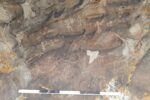 کشف نقوش صخره‌ای در منطقه تاریخی ورزقان