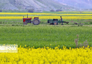 بهبود عملکرد بخش کشاورزی آذربایجان شرقی در دولت سیزدهم