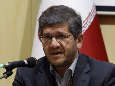 معاون استاندار آذربایجان شرقی: آمار سگ‌های بدون صاحب ارائه شود