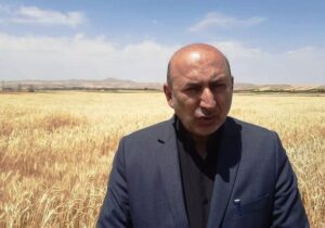 معاون وزیر جهاد کشاورزی: خودکفایی در گندم نان به پایداری رسید
