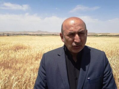 معاون وزیر جهاد کشاورزی: خودکفایی در گندم نان به پایداری رسید