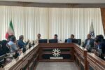 همکاری نکردن میراث فرهنگی و محیط زیست در توقف قطع اشجار باغ گلستان