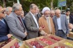 برگزاری جشنواره سیب مراغه با حضور میهمانان ملی 