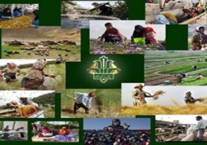 ۱۹ هزار کشاورز از تسهیلات بانک کشاورزی آذربایجان شرقی بهره‌مند شدند