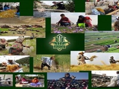 ۱۹ هزار کشاورز از تسهیلات بانک کشاورزی آذربایجان شرقی بهره‌مند شدند