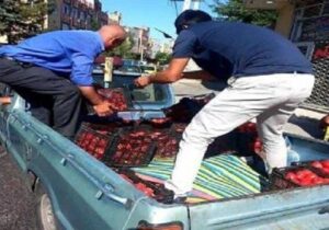 کشف ۹ دستگاه ماینر قاچاق در مرند