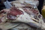 مدیر فروشگاه عرضه گوشت در مراغه زندانی شد