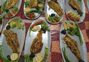 تولید سالانه بیش از ۵۵۰ تن گوشت سفید ماهی در اهر