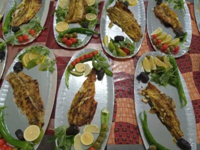 تولید سالانه بیش از ۵۵۰ تن گوشت سفید ماهی در اهر
