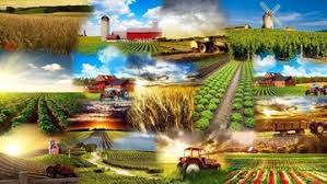 افزایش ۹ هزار بهره بردار کشاورزی در آذربایجان شرقی