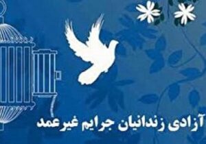 آزادی دو زندانی غیر عمد به همت دانش‌آموزان تبریزی