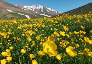 تاسیس ژئوپارک سهند چه نقشی در اقتصاد مراغه دارد؟