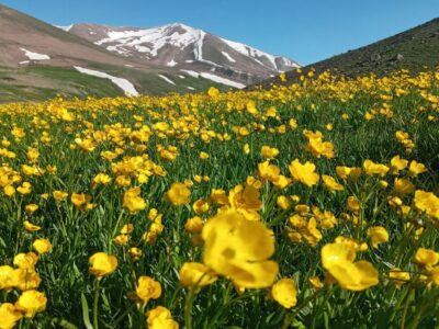 تاسیس ژئوپارک سهند چه نقشی در اقتصاد مراغه دارد؟