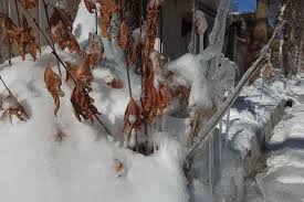 دمای هوا در آذربایجان شرقی همچنان زیر صفر است / تیکمه‌داش سومین شهر سرد کشور