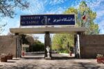 فعالیت ۱۴۵ شرکت فناور در دانشگاه تبریز