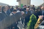 غرس یک اصله نهال توسط وزیر نیرو در تبریز