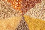 انحصار زدایی خواسته بخش خصوصی راهبرد دولت چهاردهم