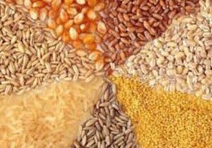 انحصار زدایی خواسته بخش خصوصی راهبرد دولت چهاردهم