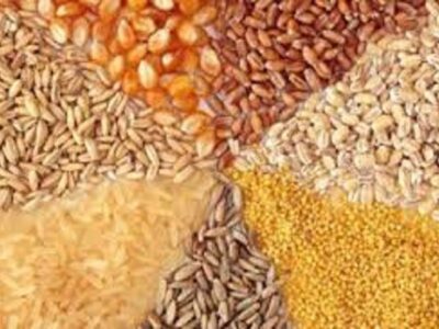 انحصار زدایی خواسته بخش خصوصی راهبرد دولت چهاردهم