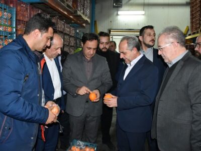 ذخیره سازی ۹۰۰ تن میوه شب عید در آذربایجان شرقی/ توزیع از روز دوشنبه