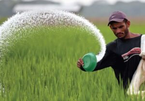 توزیع بیش از ۴ هزار تن کود در بین کشاورزان مراغه‌ای