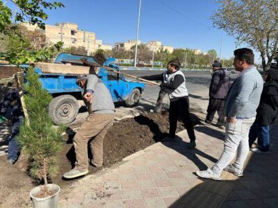 توسعه فضای سبز غرب تبریز با کاشت بوته های بهاری