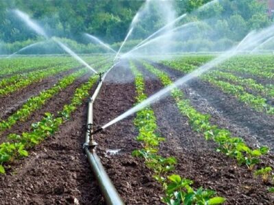 ۳۸۴ هکتار از اراضی کشاورزی تبریز مجهز به سامانه های آبیاری نوین است