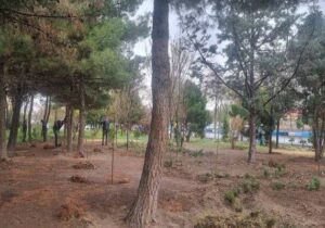 ساماندهی پارکها و فضای سبز غرب و شمالغرب تبریز