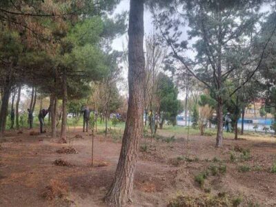 ساماندهی پارکها و فضای سبز غرب و شمالغرب تبریز