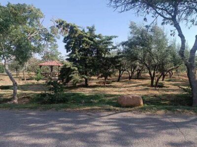 پارک جنگلی ارم؛ بهشتی سبز در دل تبریز